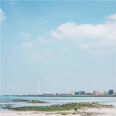 全民死神手游九游版下载